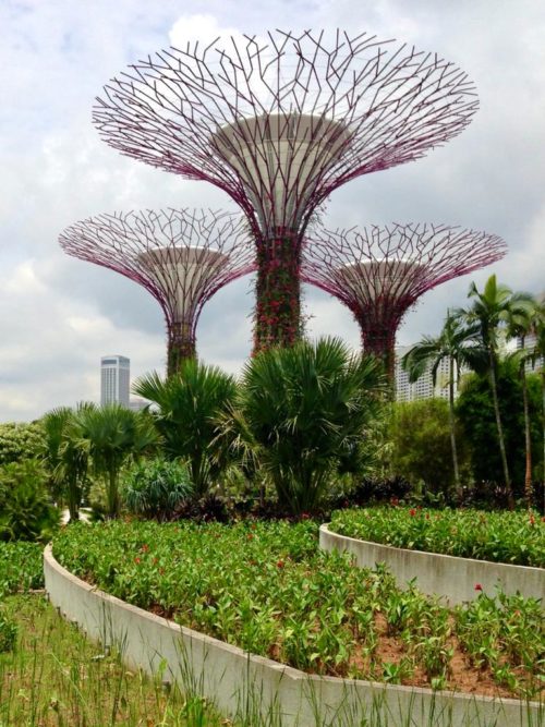 ﻿Сінгапур – нова зустріч